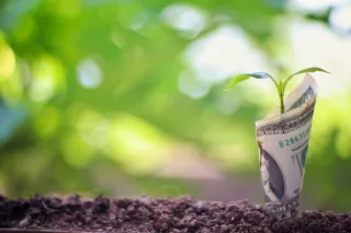 A stock photo of money